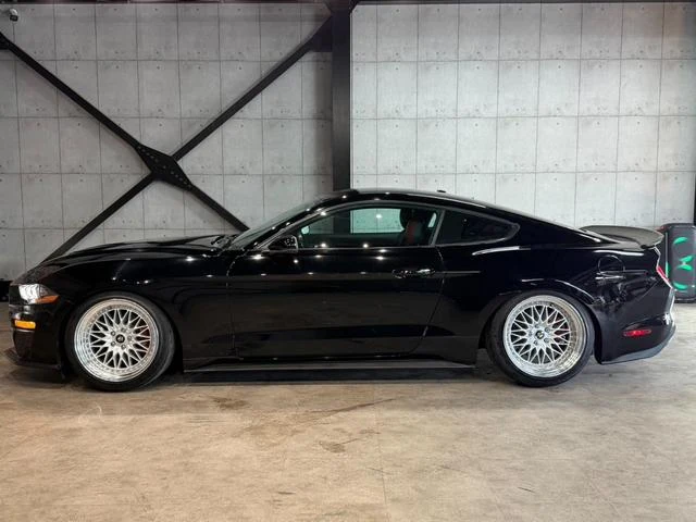 Ford MUSTANG 14