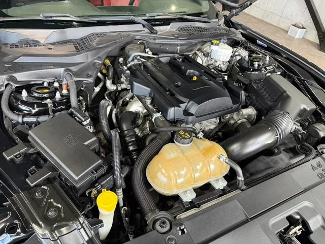 Ford MUSTANG 19