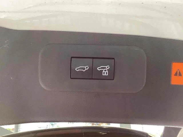 Lexus NX 38
