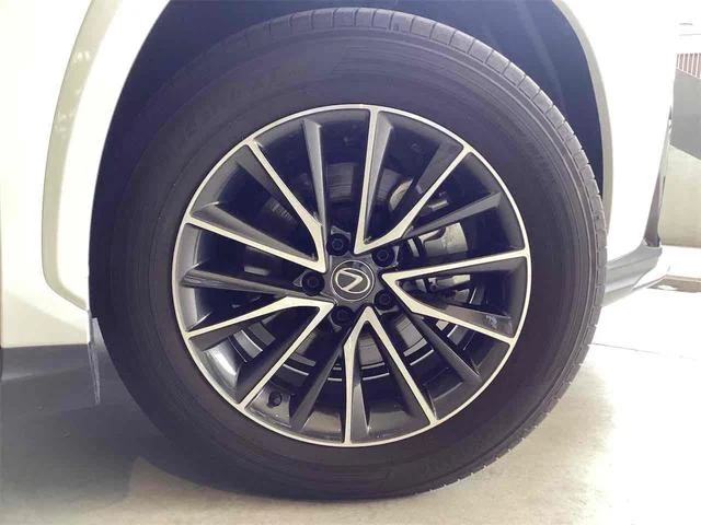 Lexus NX 20