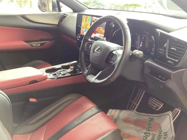 Lexus NX 51