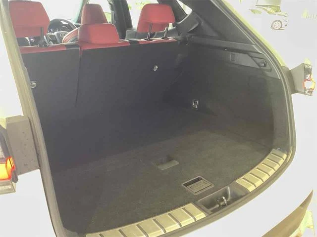Lexus NX 21