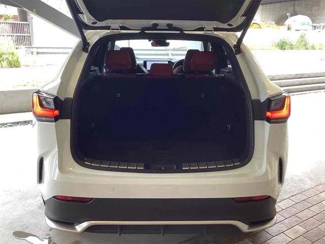 Lexus NX 18