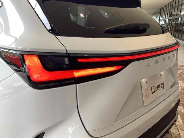 Lexus NX 23