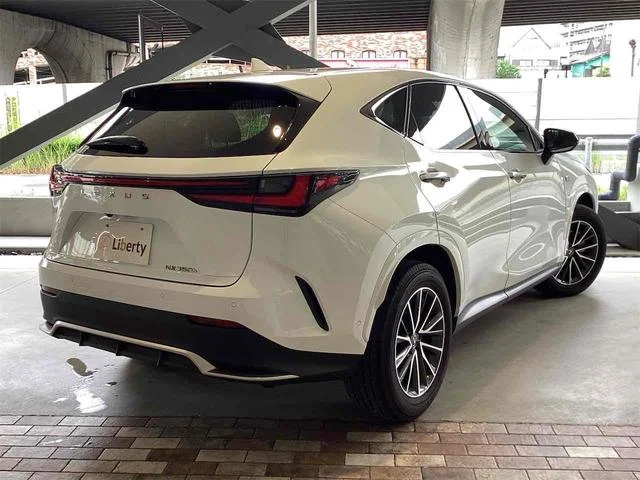 Lexus NX 4