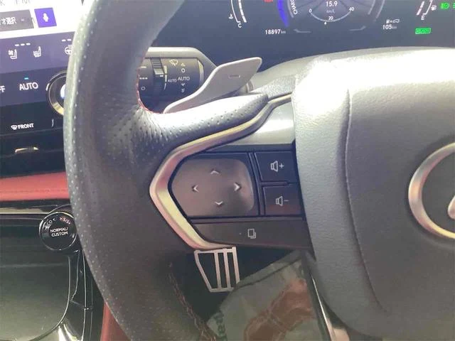 Lexus NX 16
