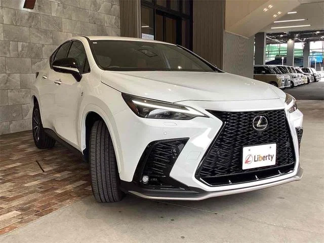 Lexus NX 3