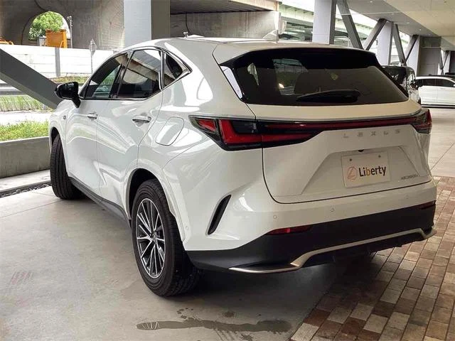 Lexus NX 6