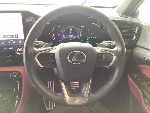 Lexus NX 9