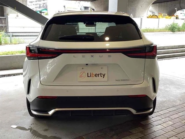 Lexus NX 5