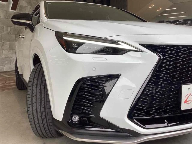 Lexus NX 60