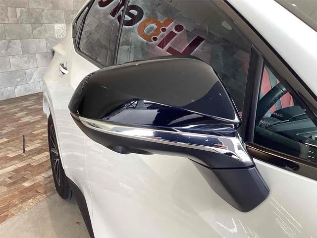 Lexus NX 29