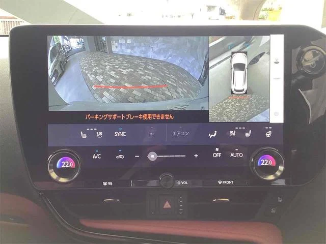 Lexus NX 11