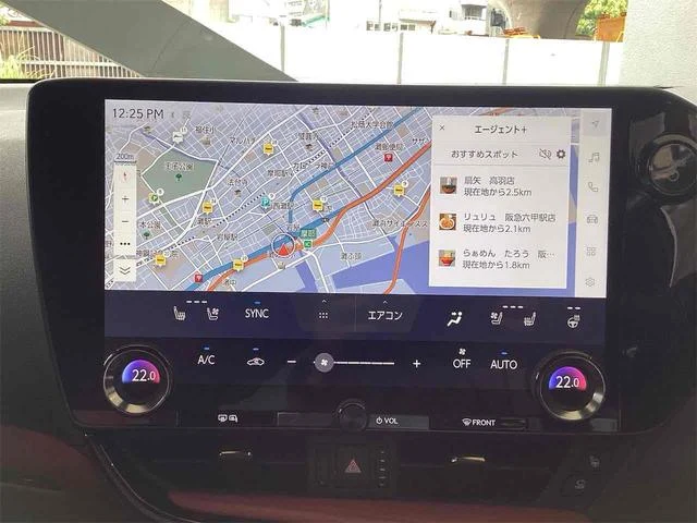 Lexus NX 10