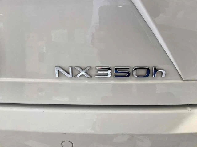Lexus NX 24