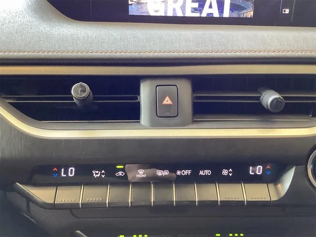 Lexus UX 6