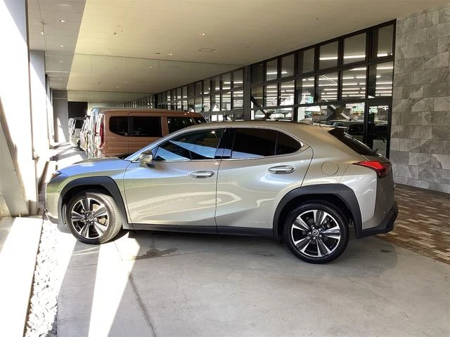 Lexus UX 18