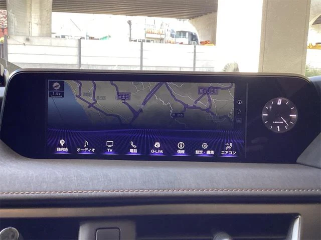 Lexus UX 51