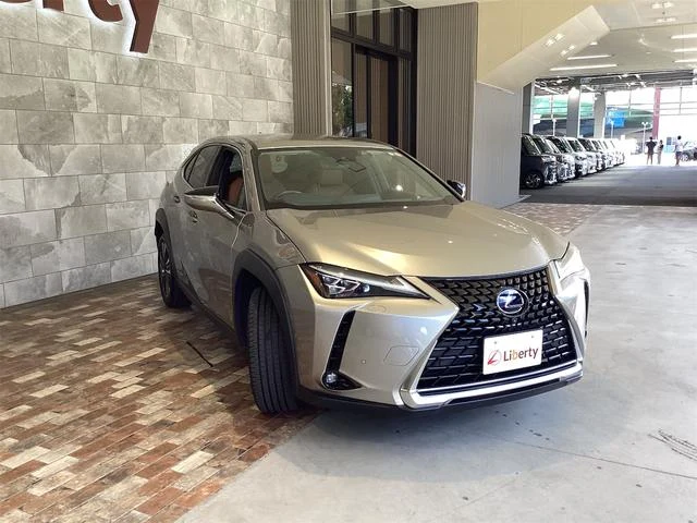 Lexus UX 13