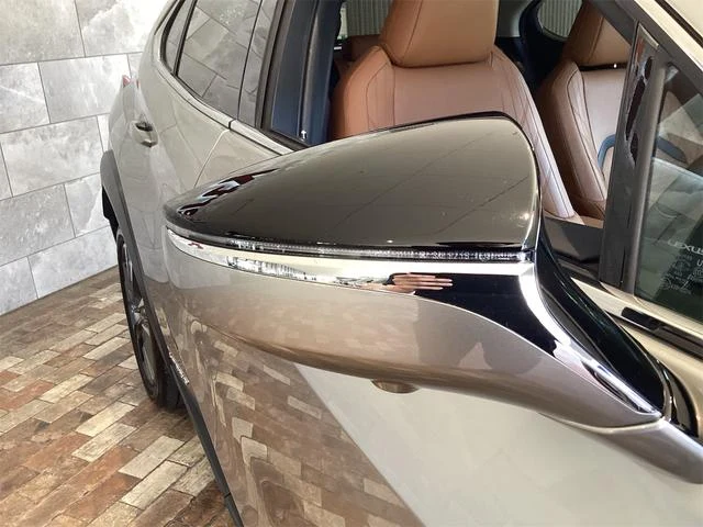 Lexus UX 29