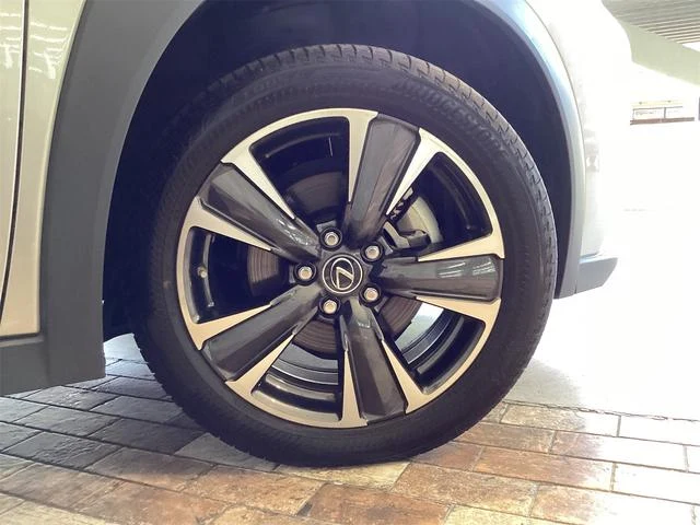 Lexus UX 19