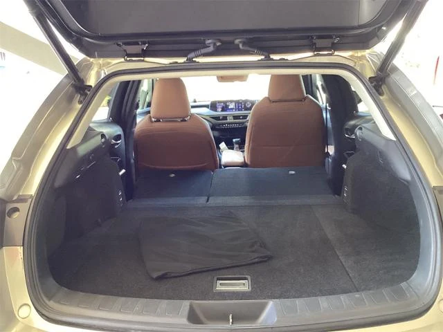 Lexus UX 38