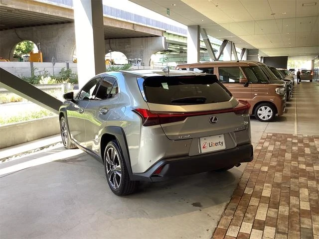Lexus UX 17
