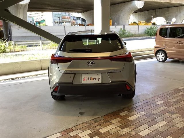 Lexus UX 16