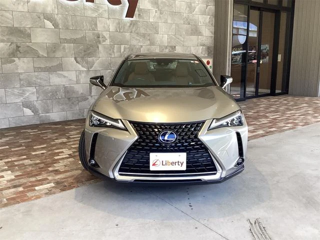 Lexus UX 12