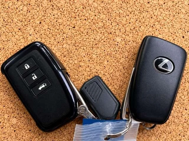 Lexus LX 29