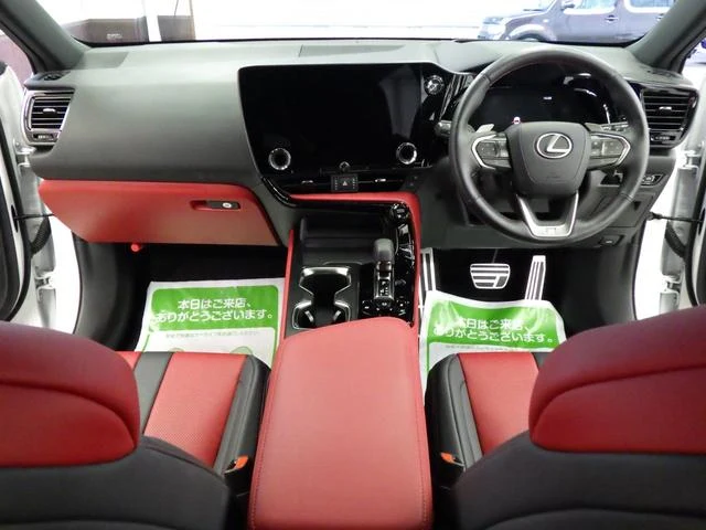 Lexus NX 12