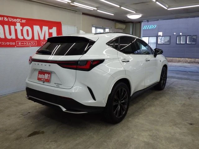 Lexus NX 6
