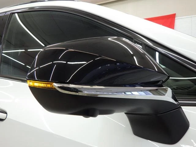 Lexus NX 54