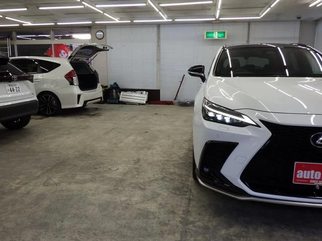 Lexus NX 55