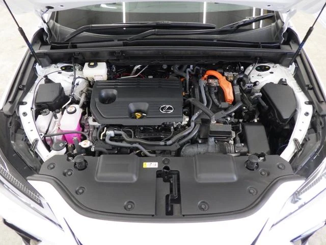 Lexus NX 75