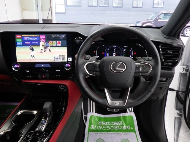 Lexus NX 47