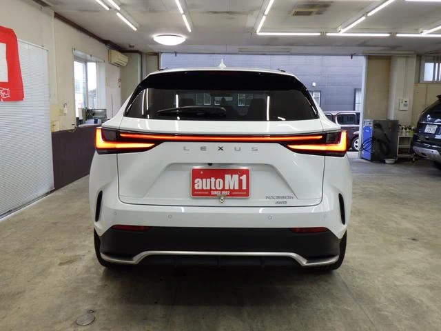 Lexus NX 64