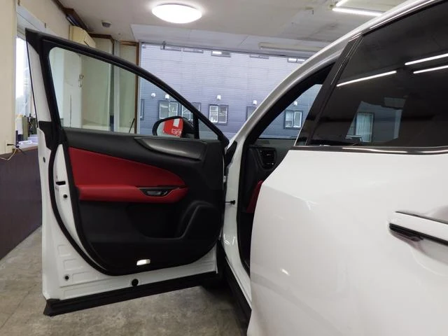 Lexus NX 72