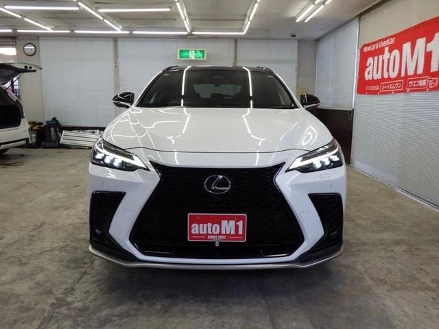 Lexus NX 61