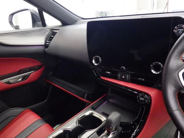 Lexus NX 33