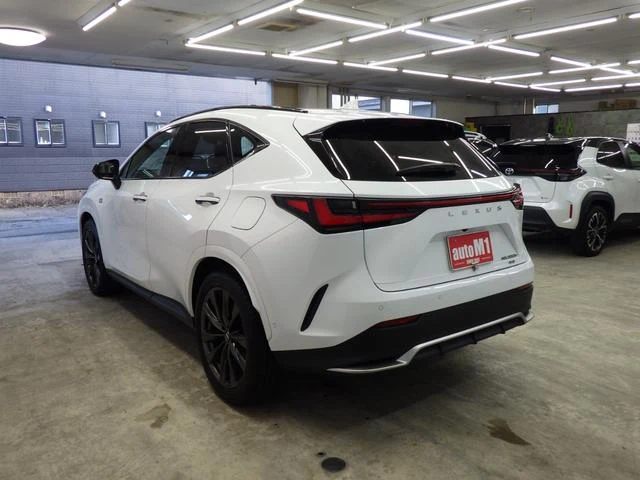 Lexus NX 7
