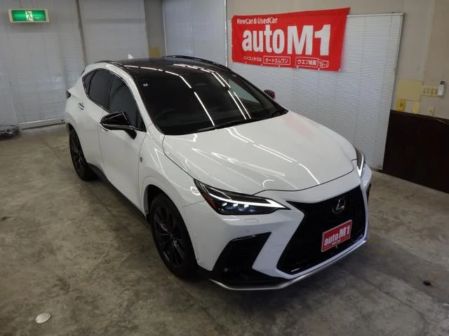 Lexus NX 59