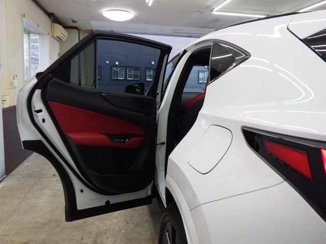 Lexus NX 73