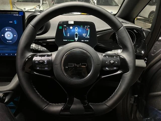 BYD DOLPHIN 14