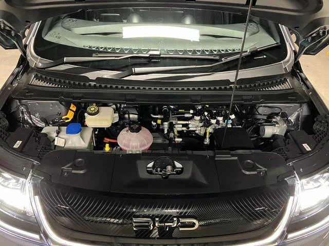 BYD DOLPHIN 13