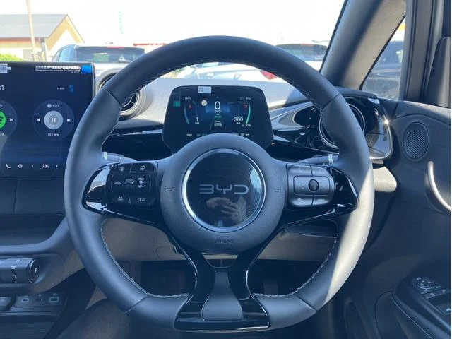 BYD DOLPHIN 14