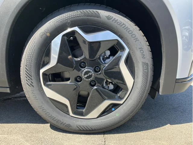 BYD DOLPHIN 15