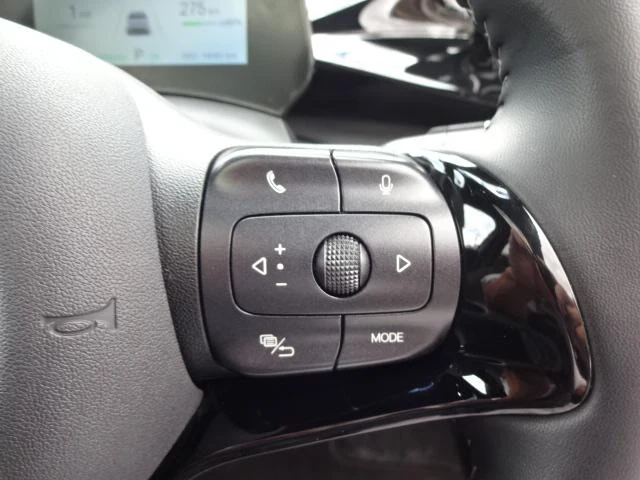 BYD DOLPHIN 25