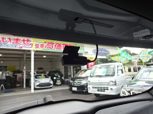 BYD DOLPHIN 14