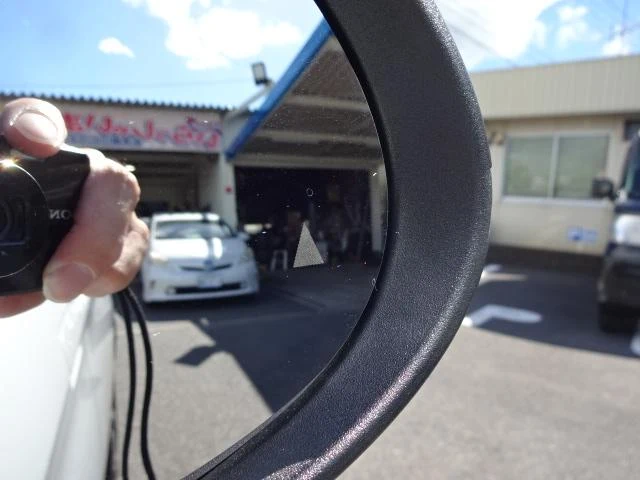 BYD DOLPHIN 47